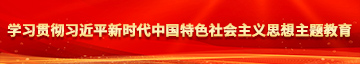 日美女操B学习贯彻习近平新时代中国特色社会主义思想主题教育